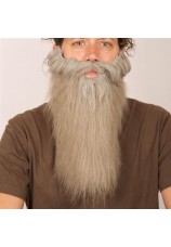 Longue barbe grise