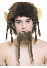 Perruque et barbe elf