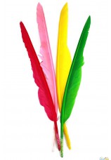 20 plumes colorees 25cm