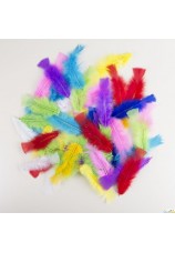 50 plumes colorees 25cm
