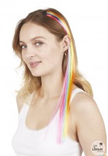 meche de cheveux multicolore a clipser