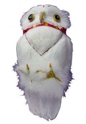 Hibou blanc en plumes - chouette