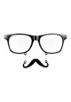 Lunettes + moustache