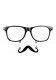 Lunettes + moustache