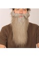 Longue barbe grise