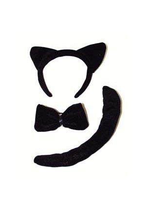 set chat noir