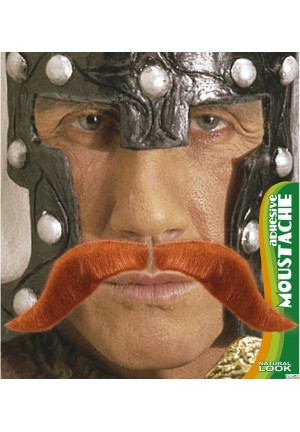 Moustache viking