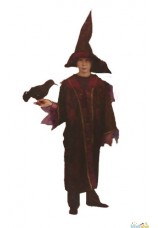 sorcier magicien harry