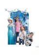 Studio Photo Selfie Booth Reine des neiges