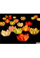 Lot de 6 lanternes flottantes 