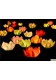 Lot de 6 lanternes flottantes 