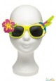 Lunettes hawai