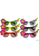 Lunettes hawai