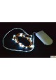 Fll 1m /10 lampes led blanches