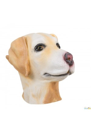 masque integral de labrador