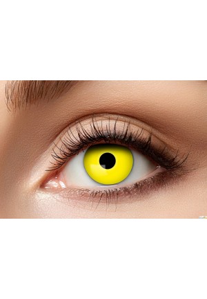 lentilles 7 jours jaune