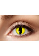 oeil de chat jaune- lentilles 3 mois