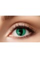 oeil de chat vert- lentilles 6 mois