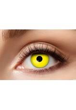 oeil jaune- lentilles 6 mois