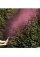 canon confettis + fumigene rose gender reveal 