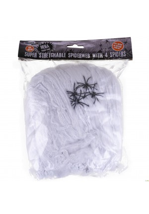 Toile d'arraign&eacute;e 300g + arraign&eacute;es