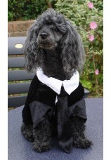 Costume de mari&eacute; pour chien tailles xs &agrave; m 