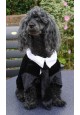 Costume de marié pour chien tailles xs à m 